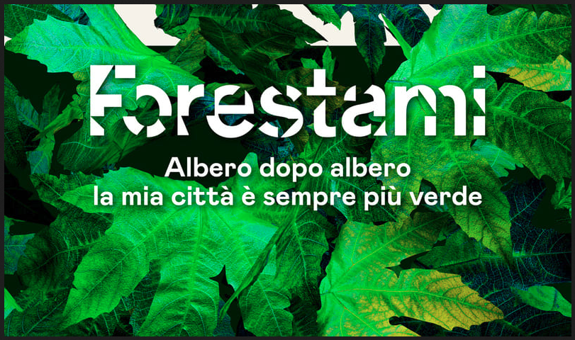 credit-Forestami